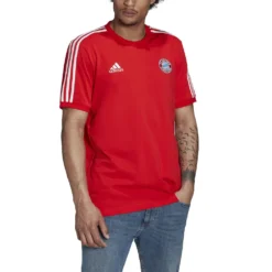 ADIDAS FC Bayern DNA 3 Stripes 22/23 Short Sleeve T-Shirt