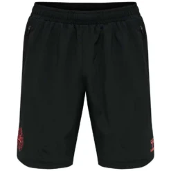 Hummel Denmark Travel 2020 Shorts