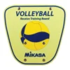 Reception Training Board Mikasa -Softee Sport Zone mikasa reception training board mikasa