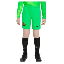 Nike FC Barcelona 21/22 Junior Shorts
