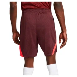 Nike Liverpool FC Dri Fit Strike 22/23 Shorts -Softee Sport Zone nike liverpool fc dri fit strike 22 23 shorts 2