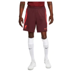 Nike Liverpool FC Dri Fit Strike 22/23 Shorts