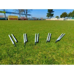 Slalom Pole 5 Units