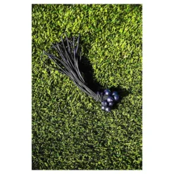 Target Shot -Softee Sport Zone powershot target shot 5