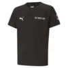 Puma Acm Evostripe T-Shirt -Softee Sport Zone puma acm evostripe t shirt