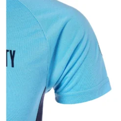 Puma Manchester City FC Evostripe 20/21 T-Shirt -Softee Sport Zone puma manchester city fc evostripe 20 21 t shirt 3